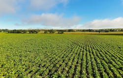 State Hwy 92, Lewellen, NE 69147