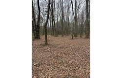 Center Road, Cartersville, GA 30121