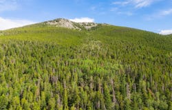 Twin Spruce Rd, Golden, CO 80403