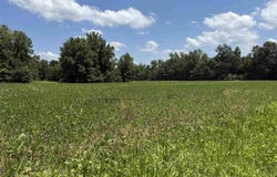 State Road 46, Center Point, IN 47840