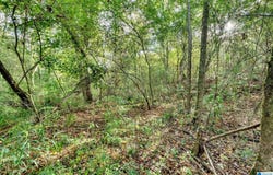 4501 MCGILL TERRACE lot: 25, HOOVER, AL 35226