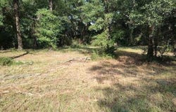 4710 John Sims Road E, Wilmer, AL 36587