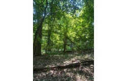 Ripple Rd, Mc Keesport, PA 15131