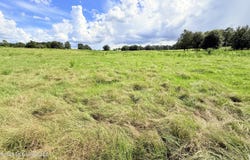 Tbd 2 Montgomery Road, Bogue Chitto, MS 39629