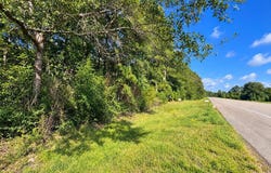 16370 FM 92 S, Spurger, TX 77660