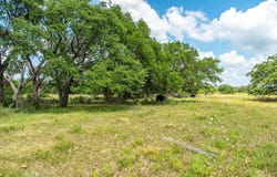 21690 FM 2093, Harper, TX 78631