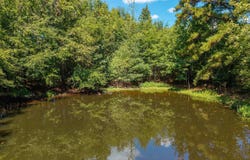 Hwy. 53 Road, Gurdon, AR 71743-9999