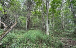 Flat Iron Road, Hunt, NY 14846
