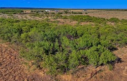 FM 172, Bluegrove, TX 76352