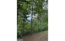 Raven Fork Trail lot: 6, Dillard, GA 30537
