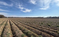 Earl Medlin Rd, Rayville, LA 71269