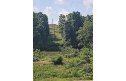 Reaves Road, Hartville, MO 65711