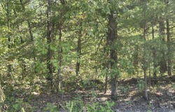 13239 County Road 290, Flemington, MO 65650