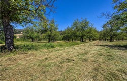 1286 Pitney Lane, Upper Lake, CA 95485