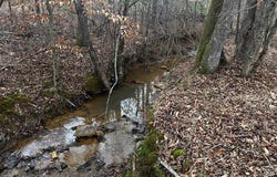 Coker Spur Rd, Red Bay, AL 35582