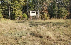 County Road 6030, Salem, MO 65560