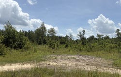 James Evans Rd, Rentz, GA 31075
