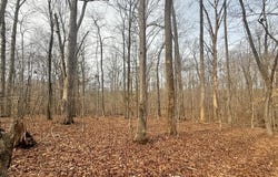62 Willis Bluff LN, Cumberland, VA 23040