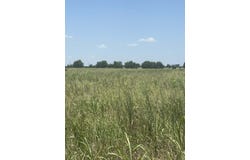1262 CR 134 E, Burlington, TX 76519