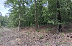 County Road 350, Dora, MO 65637