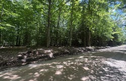 V/L S 35 Road, Cadillac, MI 49601