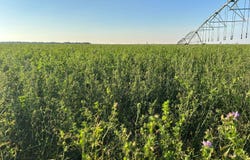 Co Rd PNCO, Rozel, KS 67574