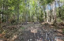 458 Point Road, Otis, ME 04605