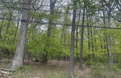 Us Rt 611 2, Swiftwater, PA 18370