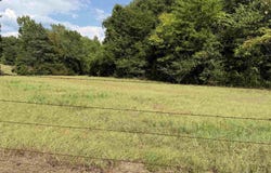 669 CR 2443, Rusk, TX 75785