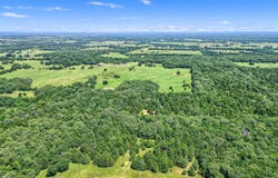 CR 113, Whitesboro, TX 76273