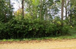 ORCHARD ROAD, SOUTH HAVEN, MI 49090