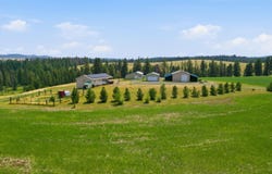 1028 Granlund Rd, Troy, ID 83871