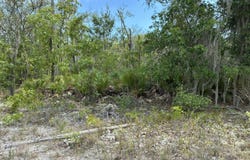 DONOVAN Avenue, Interlachen, FL 32148