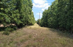 Autumnwood Road, Ash Flat, AR 72513