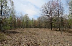 N Chippewa Road, Mount Pleasant, MI 48858
