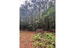HADEN CIR lot: 5-9, PAINTER, VA 23420