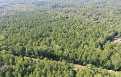 Neely Ferry Road, Tract B, Waterloo, SC 29384