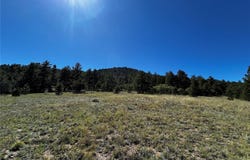 Thomas Trail, Canon City, CO 81212