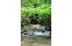 Two Brothers Road, Lindside, WV 24951