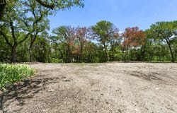 1224 Abelia Drive, Fort Worth, TX 76108