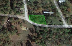 Ben Nevis, Briarcliff, AR 72653