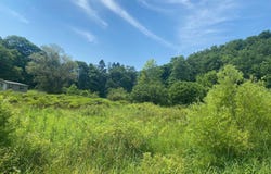 Grass Lick Run, Montrose, WV 26283