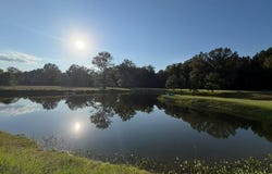 4420 Gilead Rd, Clinton, LA 70722