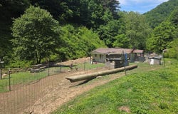 1168 White Oak Rd, Grundy, VA 24614