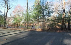 W Birch Rd, Norfolk, MA 02056