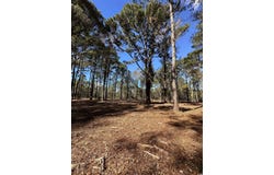 Highway 707, Myrtle Beach, SC 29588