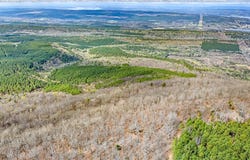 40 Acres, Dardanelle, AR 72834