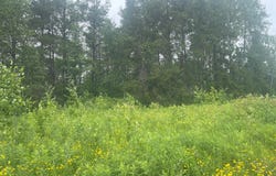 Degerstrom Road, Askov, MN 55704