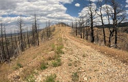 402 Lightning Ridge Trail, Three Forks, MT 59752