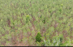 180TH STREET, Live Oak, FL 32060